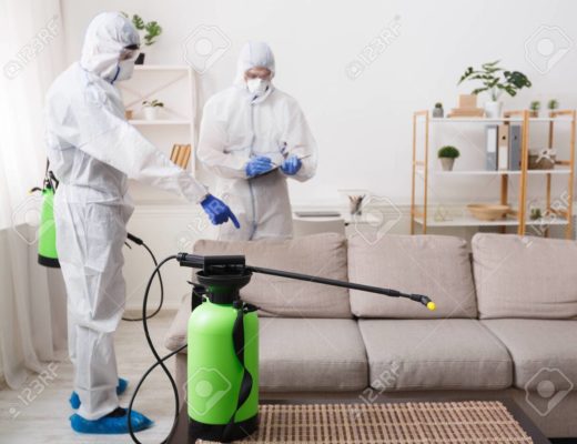 Débarrassez-vous des insectes nuisibles à la maison!