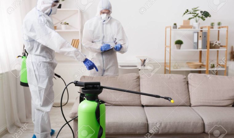 Débarrassez-vous des insectes nuisibles à la maison!