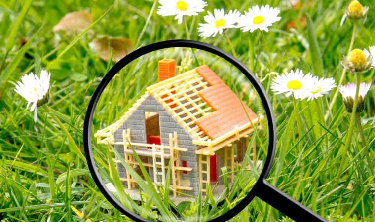 Comment trouver votre maison de rêve : guide complet