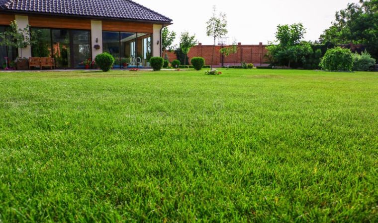 Investissement immobilier : Comment tirer le meilleur parti de l&rsquo;achat de propriétés résidentielles ?