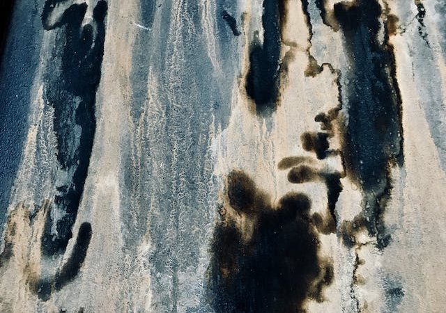 Les méthodes efficaces pour nettoyer les moisissures sans endommager les surfaces
