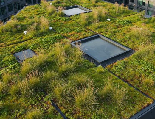 Toiture végétalisée : un atout écologique et esthétique pour votre bien