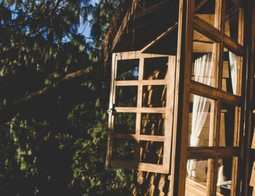 Maison à ossature bois : découvrez tous ses avantages écologiques