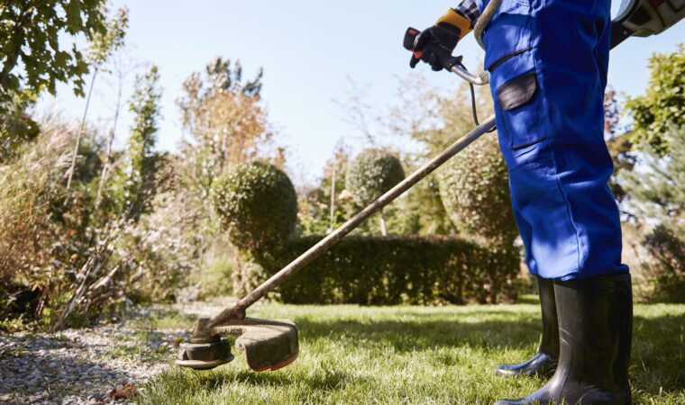 Les 5 principaux avantages d’un débroussaillage professionnel pour vos espaces verts