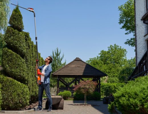 Entretien des espaces verts : conseils professionnels pour un extérieur impeccable