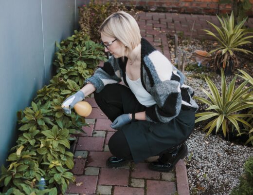 Maçonnerie paysagère créative : jardin sublimé avec design unique, élégant et naturel