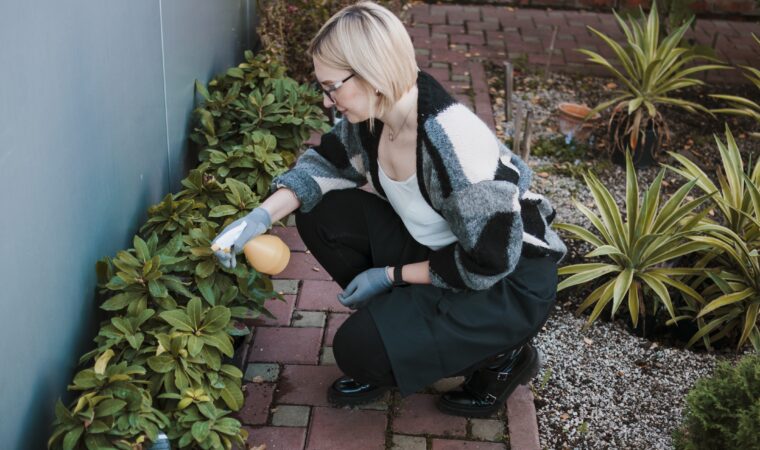 Maçonnerie paysagère créative : jardin sublimé avec design unique, élégant et naturel