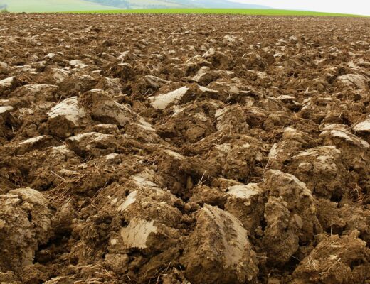 Top soil : apporter fertilité et vie à vos sols