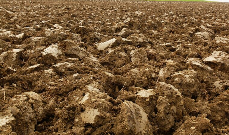 Top soil : apporter fertilité et vie à vos sols