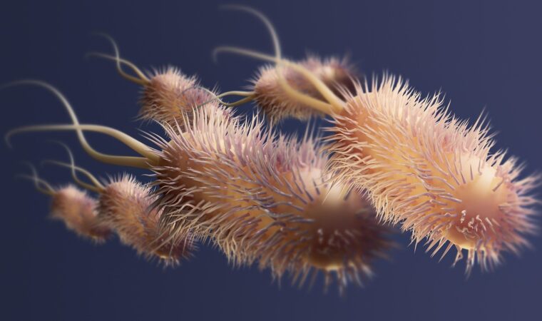 Traitement eaux usées : le rôle des bactéries anaérobies