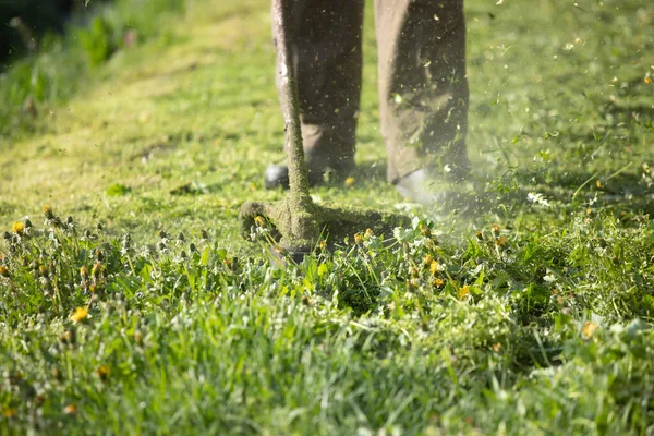 Prévention Incendie : pourquoi le débroussaillage est obligatoire dans certaines zones ?