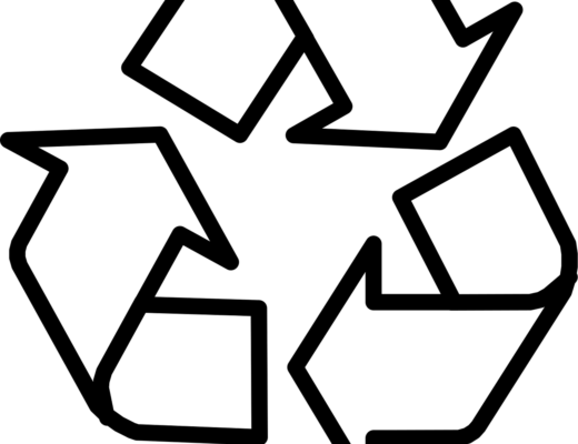 Gérer les déchets verts après un gros chantier d’élagage