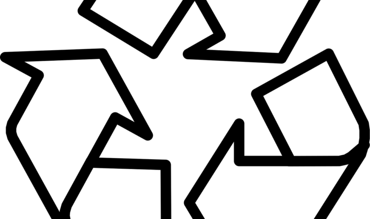 Gérer les déchets verts après un gros chantier d’élagage