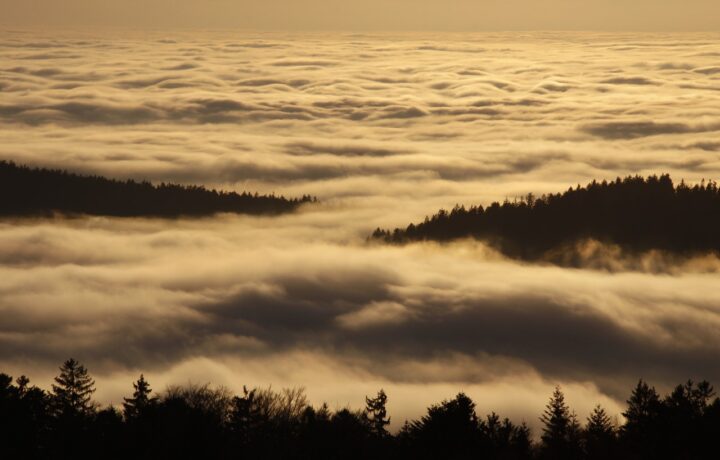 Condition suspensive d’absence de servitude : protéger son projet de construction