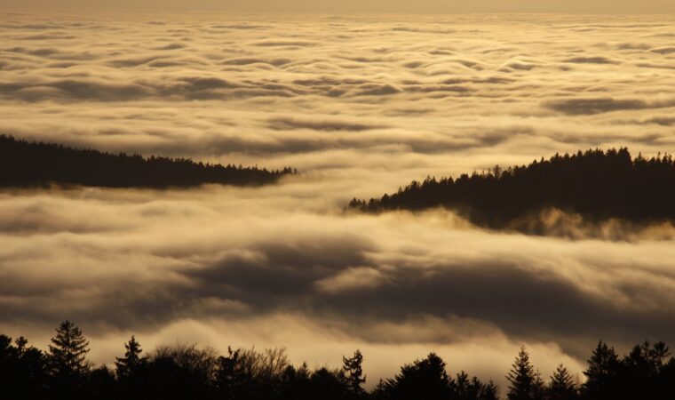 Condition suspensive d’absence de servitude : protéger son projet de construction