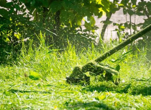 Changer la tête fil de sa débroussailleuse Stihl : quelques conseils
