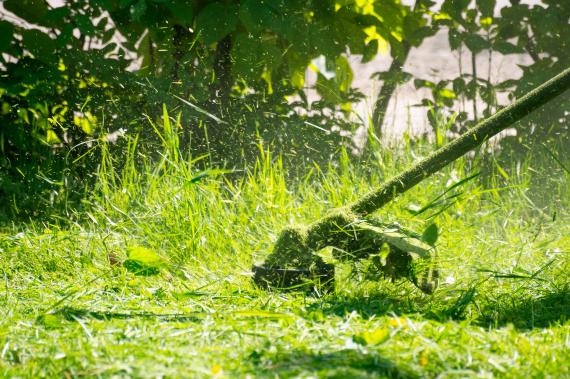 Changer la tête fil de sa débroussailleuse Stihl : quelques conseils