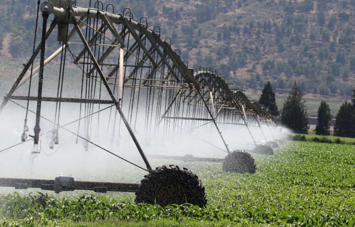 Optimiser sa consommation d&rsquo;eau grâce à un programmateur d&rsquo;arrosage intelligent