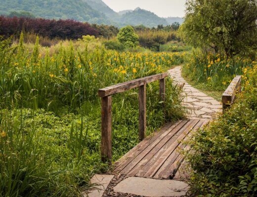 Comment choisir le revêtement idéal pour une allée de jardin ?