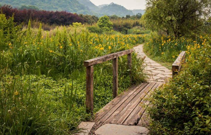 Comment choisir le revêtement idéal pour une allée de jardin ?