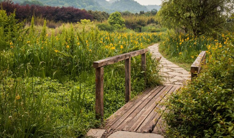 Comment choisir le revêtement idéal pour une allée de jardin ?