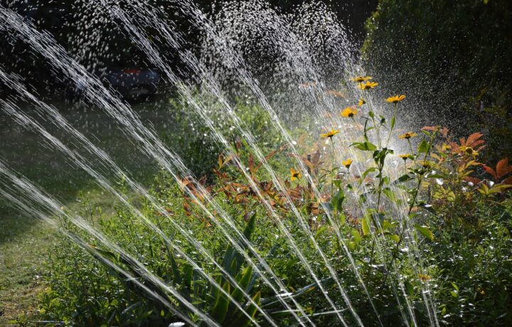 Comment automatiser l’arrosage lors de l’entretien de jardin saisonnier ?