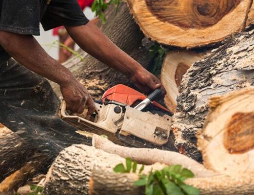 Bûcheronnage professionnel : quels équipements pour travailler en sécurité ?