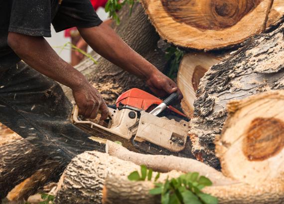 Bûcheronnage professionnel : quels équipements pour travailler en sécurité ?