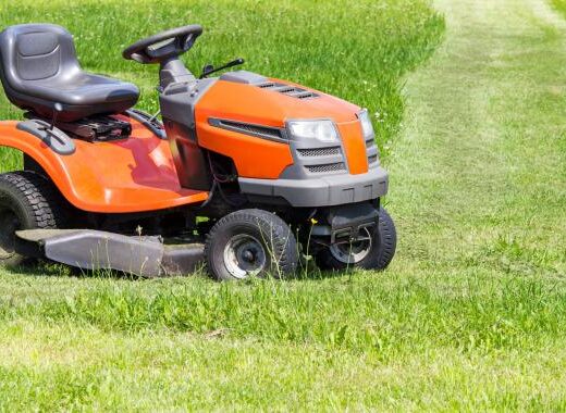 Tonte de pelouse : comment éviter les dégâts lors des fortes chaleurs ?